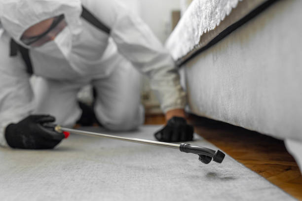 Professional Pest Control technician working in San Rafael, CA