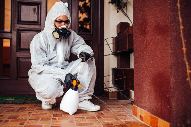 Reliable Bed Bug Control contractor in San Rafael, CA by Nex Pest Control
