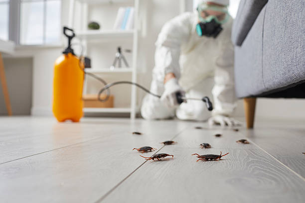 Trusted Cockroach Control service in San Rafael, CA - Nex Pest Control